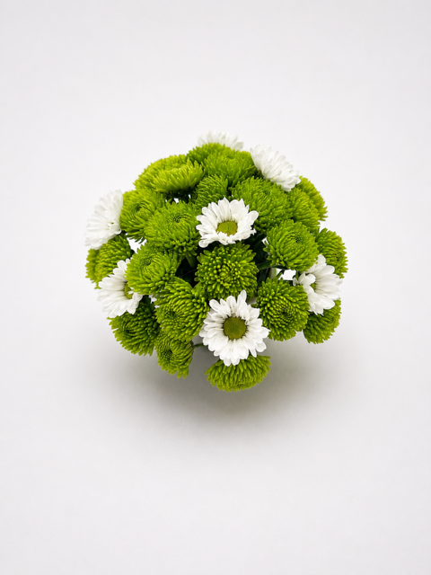 Jimmy Chew- dapper and fully in bloom