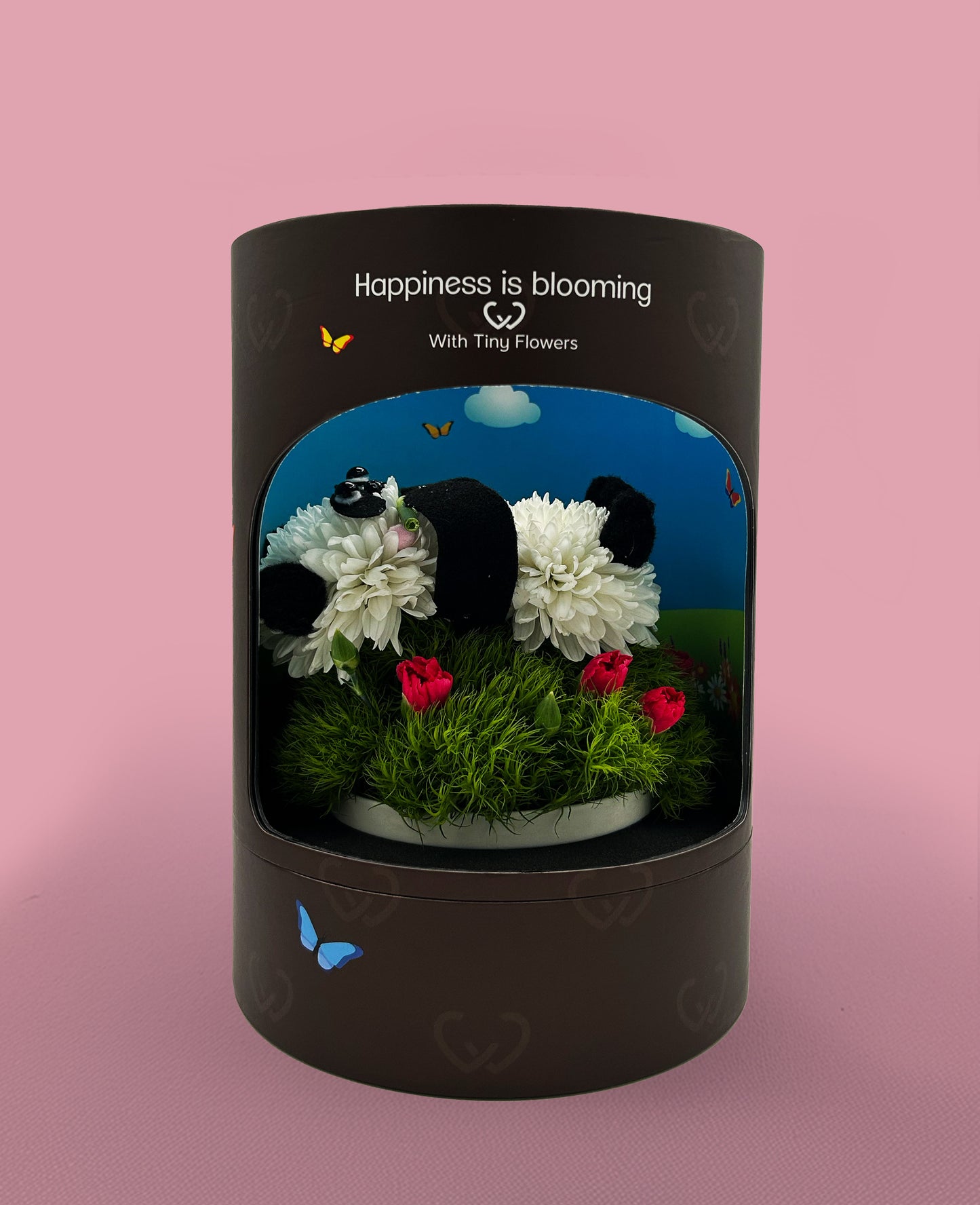 Peter  Panda – calm, cool, covered in blooms