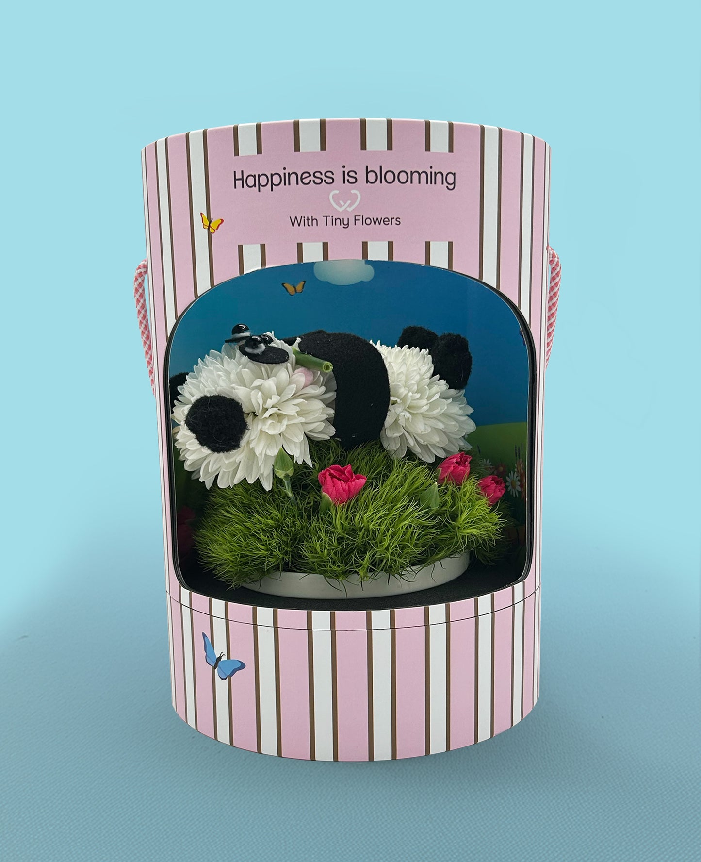 Peter  Panda – calm, cool, covered in blooms