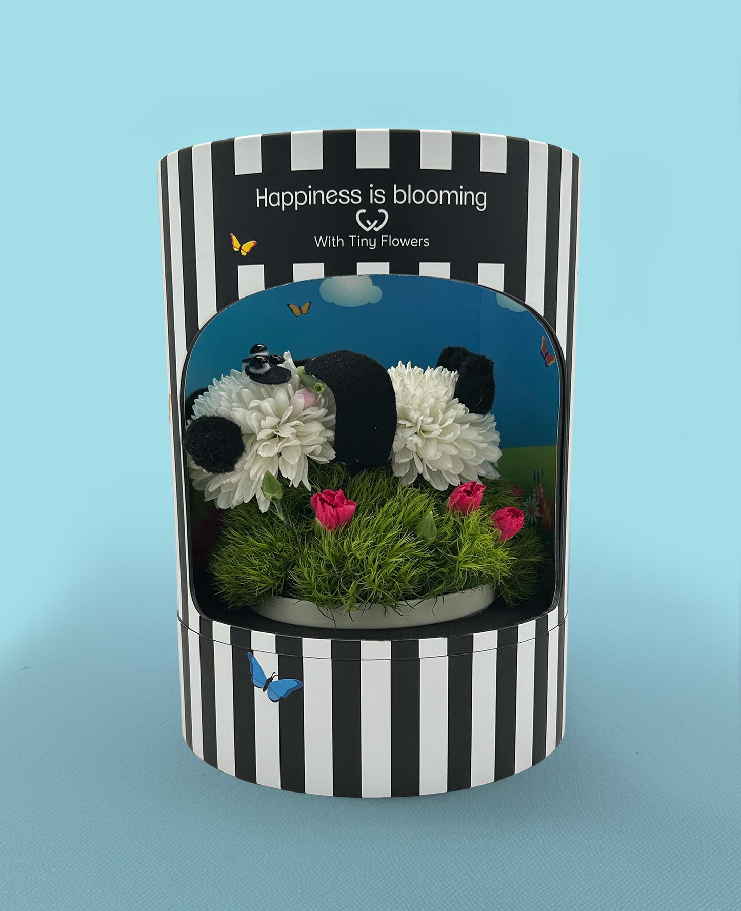 Peter  Panda – calm, cool, covered in blooms