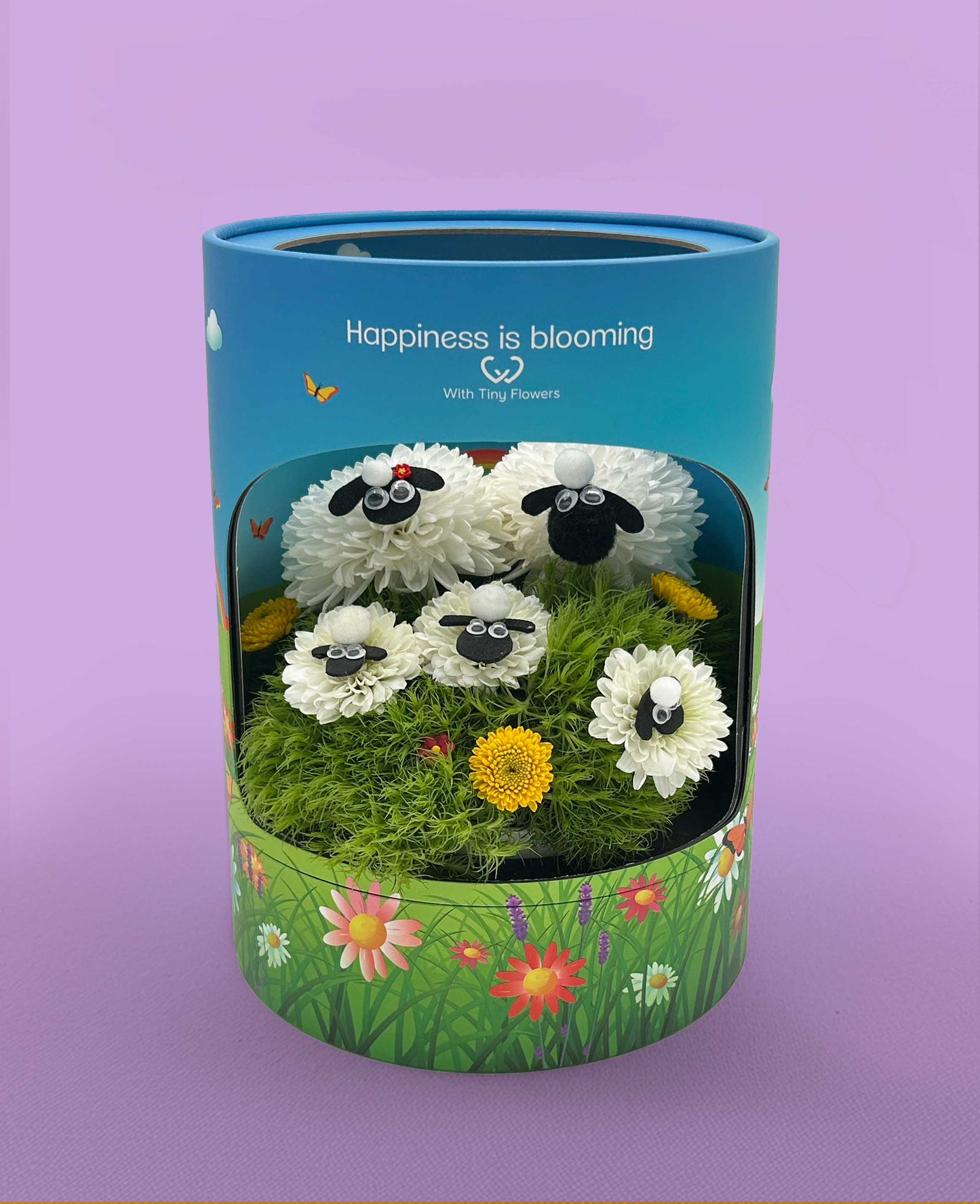 The Wooly Sheep Family
