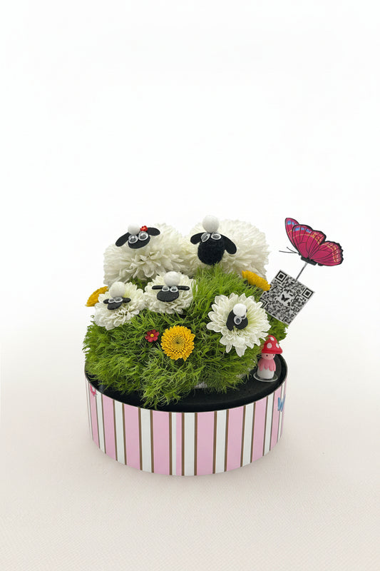 The Wooly Sheep Family