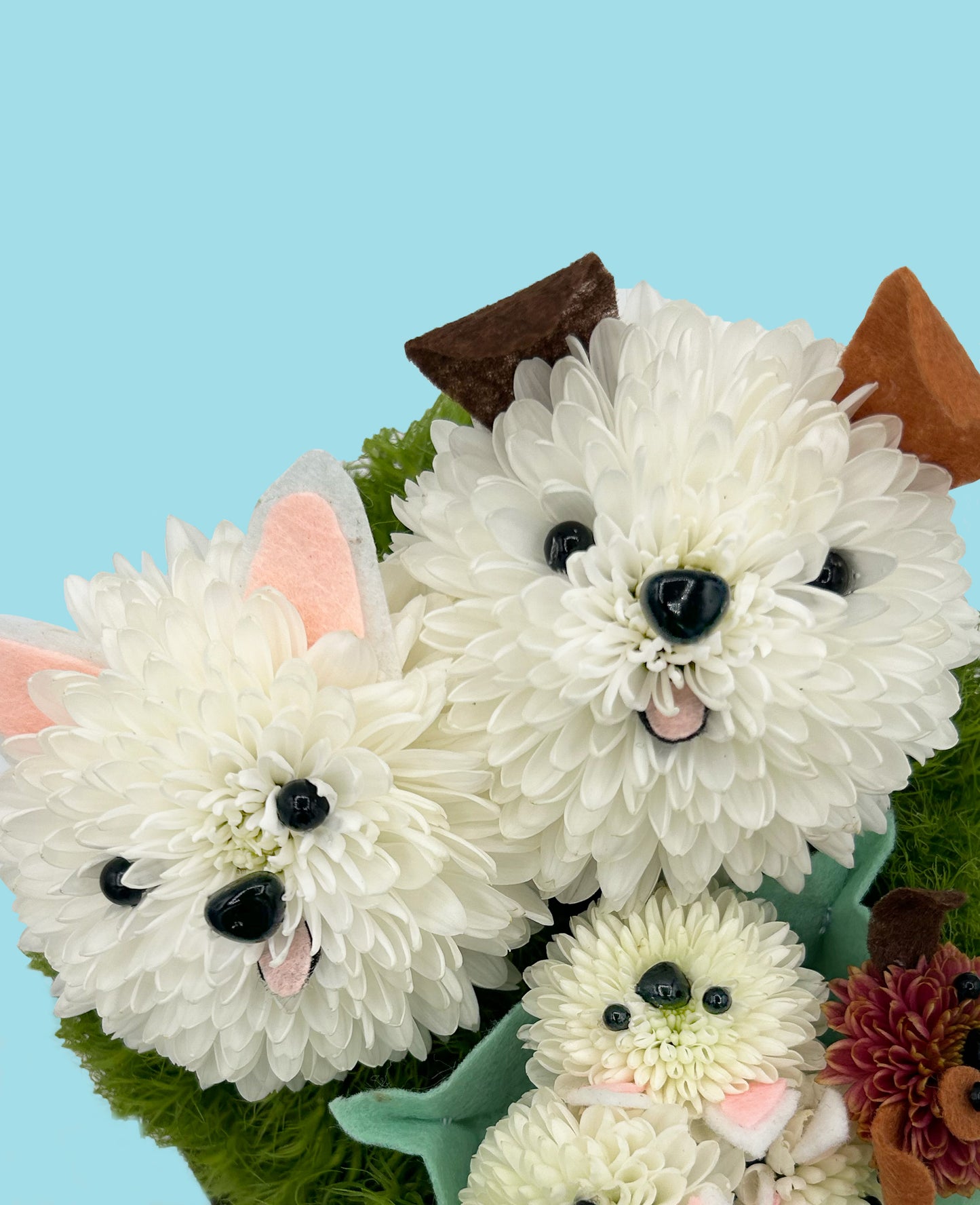 Dog Family