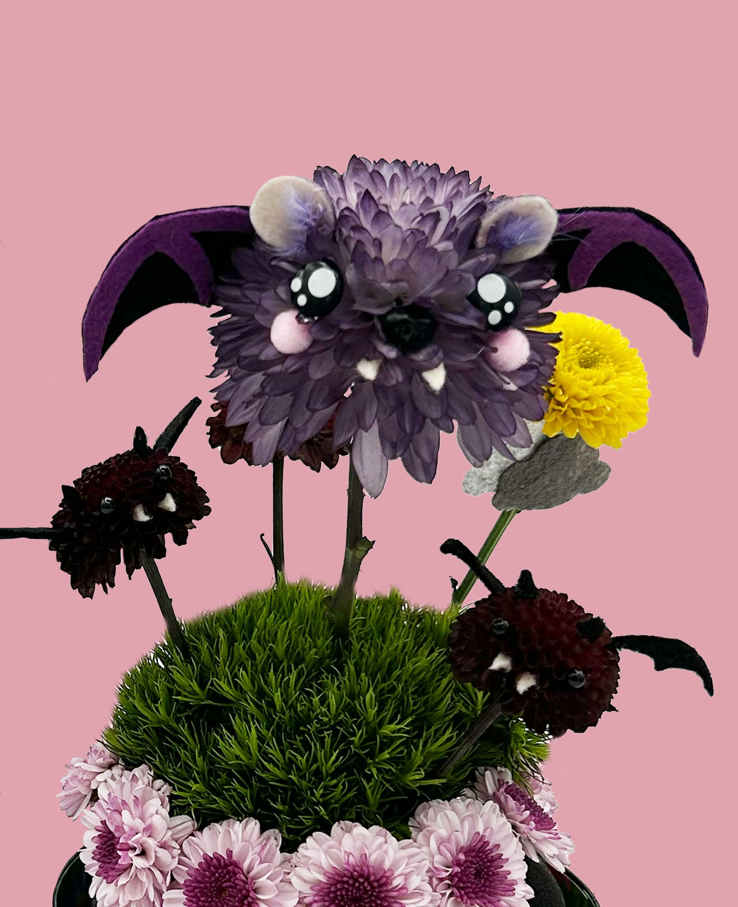 Midnight the Bat - for the ones who love a little edge