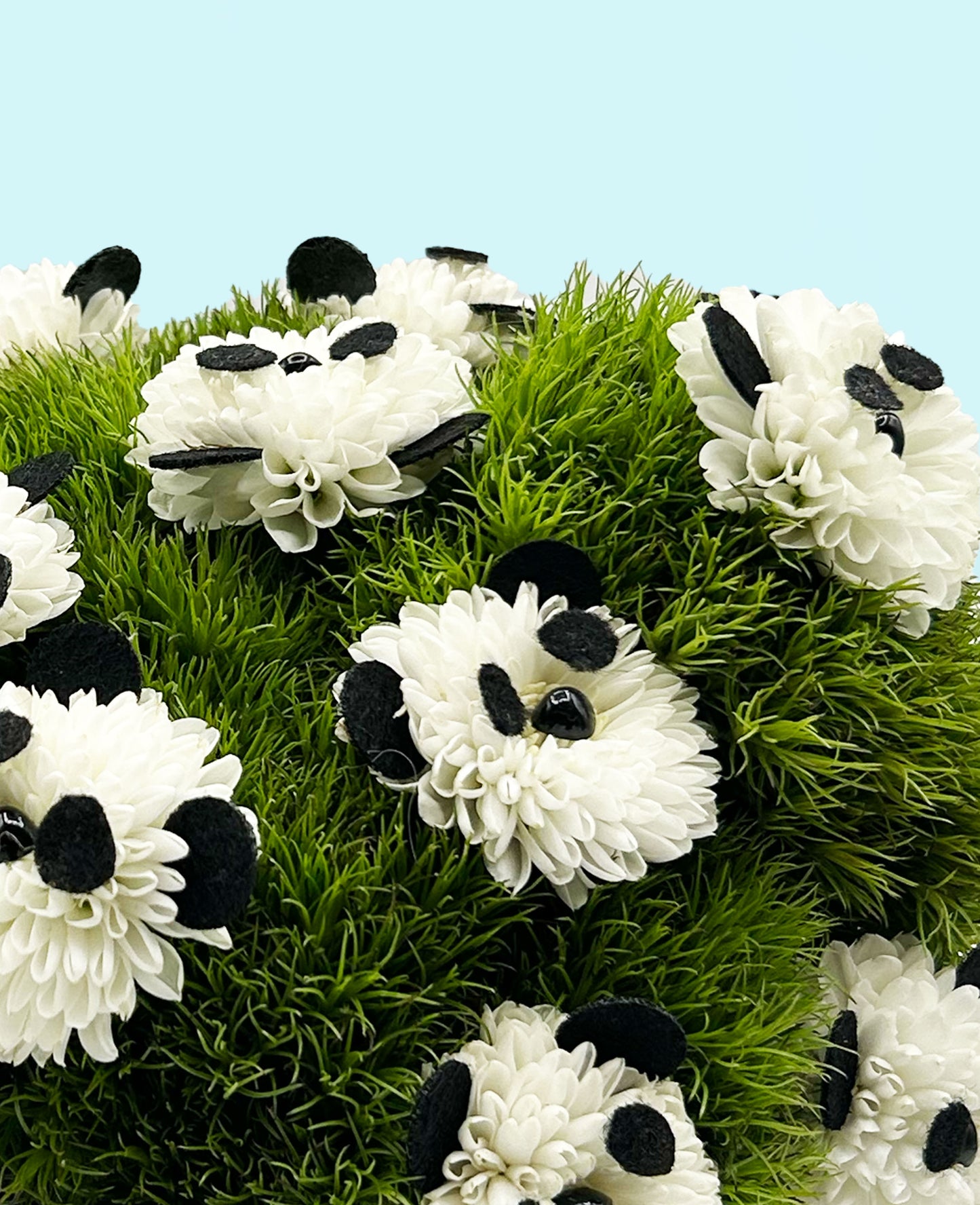 Panda Paradise – when one panda isn't enough