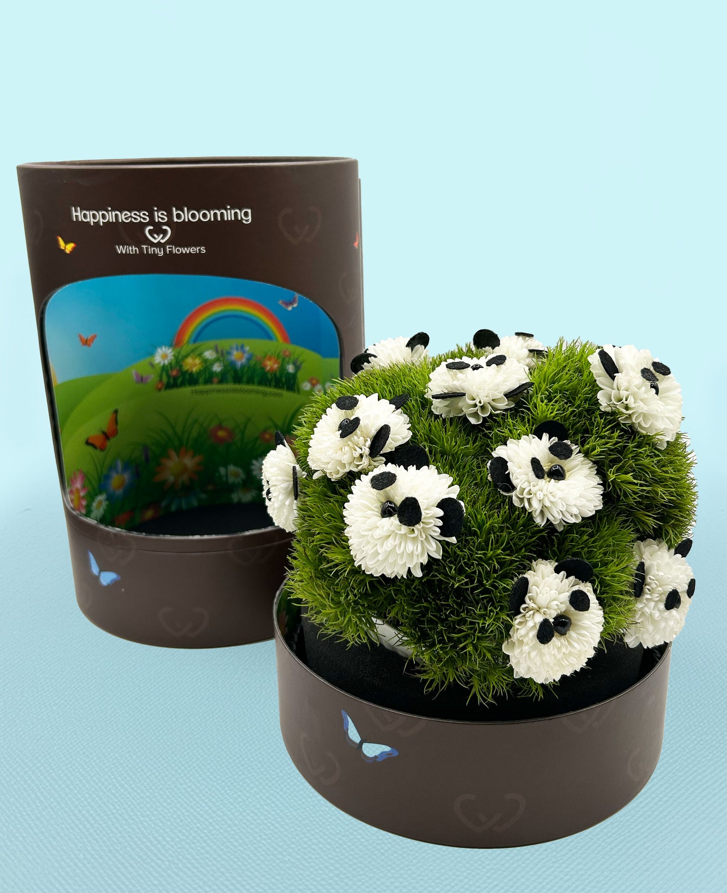 Panda Paradise – when one panda isn't enough