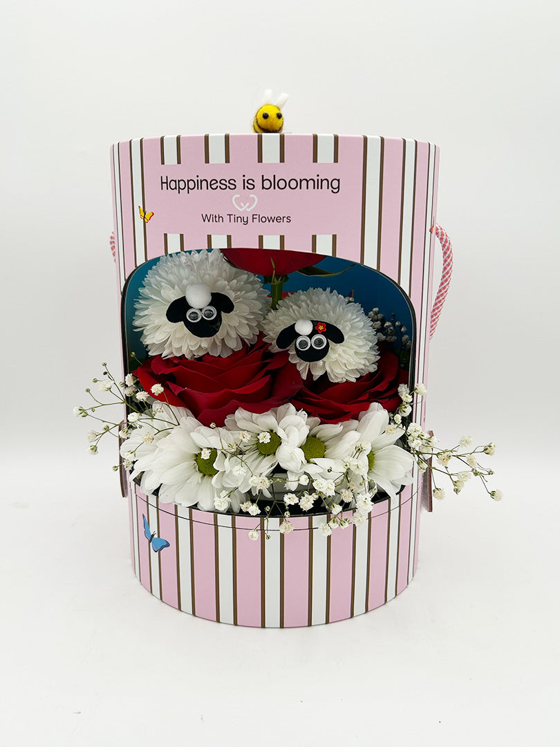 Lovely sheeps